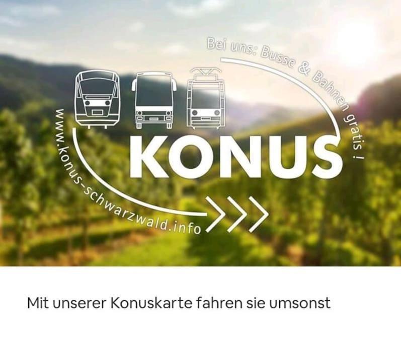Ferienwohnung Schog Todtnau Kültér fotó