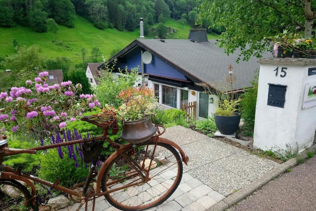 Ferienwohnung Schog Todtnau Kültér fotó
