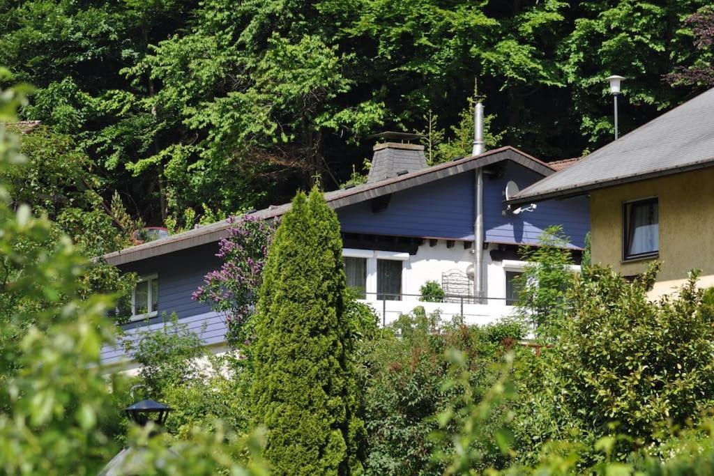 Ferienwohnung Schog Todtnau Kültér fotó